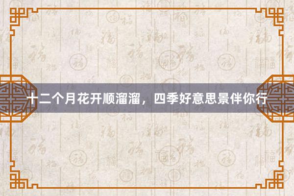 十二个月花开顺溜溜，四季好意思景伴你行